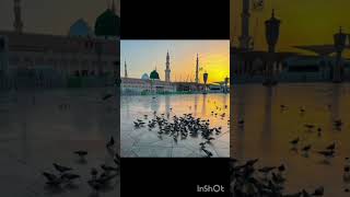 Kabe Ki Raunak Kabe Ka Manzar Allahu Akbar new makkahmadinah whatsappstatus youtubeshorts [upl. by Sheela]