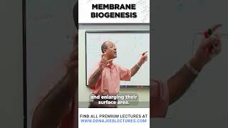 Membrane Biogenesis drnajeeb shortvideo drnajeeblectures [upl. by Leinoto833]