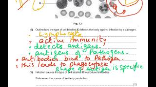 5090 o level BIOLOGY SYLLABUS 2023 SPECIMEN PAPER 2 VIDEO 2 [upl. by Aluap]