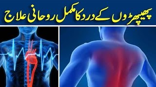 lungs infection treatment in urdu [upl. by Mazur649]