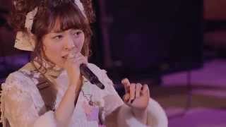 Aki Toyosaki  Sasurai no Mayoeru Koneko Live [upl. by Rovner388]