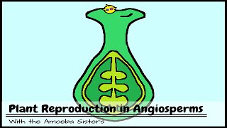 Plant Reproduction in Angiosperms [upl. by Bahr921]