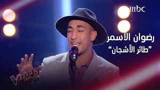 رضوان الأسمر يغني طائر الأشجان ويحلّق بصوته على مسرح MBCTheVoice [upl. by Eidorb]