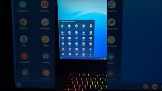 Chrome OS Flex Startup amp Shutdown is INSANE [upl. by Thursby]