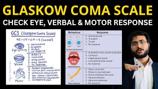 Mastering the Glasgow Coma Scale Complete Guide Scoring System and Clinical Applications [upl. by Horatius757]