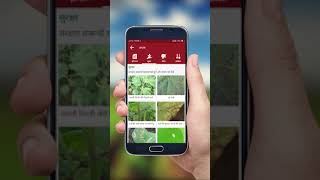 AgroStar Agri Doctor App Gyaan  Crop Info Hindi [upl. by Kunin]