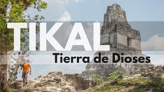 TIKAL La antigua ciudad MAYA de Guatemala  Tikal 2 [upl. by Kcinomod]