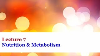 Lecture 7  Nutrition and Metabolism [upl. by Findley]