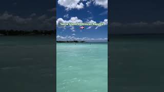 Saona Island Dominican Republic 🇩🇴 shortvideo fannycomedy fannymoments fannyvideo [upl. by Jarin]