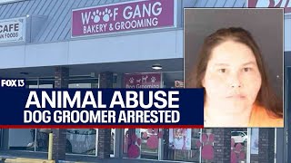 Florida pet groomer arrested on animal cruelty charges [upl. by Jessa]