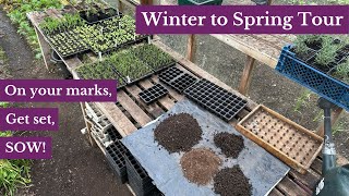 First sowings and prepping beds for spring planting [upl. by Myrta]