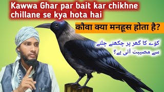 kawwa ka ghar par bait kar chikhne chillane se kya hota hai कौवा क्या मनहूस होता है [upl. by Adnauq]