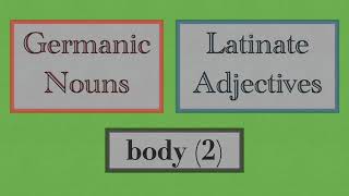 Germanic Nouns VS Latinate Adjectives body parts 2 [upl. by Tnomed485]