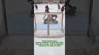 Minas Ohio Blue Jackets AAA Tournament Highlights Short version [upl. by Christine75]