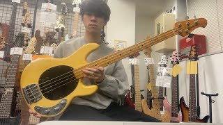 Music Man  1979 Stingray Pre Ernie【Test Play】 [upl. by Patt]