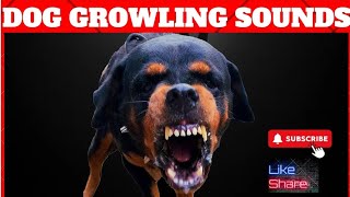 Dog Growling and Barking Sounds Compilation Angry Rottweiler [upl. by Naashar]