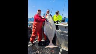 Slab Halibut Seward HD 1080p [upl. by Marko]