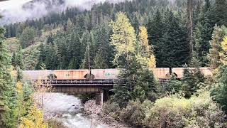 CPKC KCS climbing east out of Revelstoke with a unit 2 bay hopper train with Belle leaders [upl. by O'Neil973]