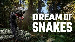 The Dream Of Snakes [upl. by Jessika]