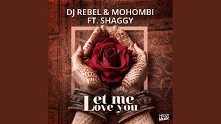 Let Me Love You feat Shaggy Radio Edit [upl. by Aikel]