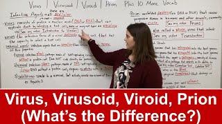 Viroid  Virusoid  Virus  Prion PLUS 10 MORE RELATED VOCAB [upl. by Ecneitap]