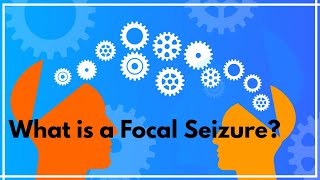 What is a focal seizure [upl. by Ardnuaet223]