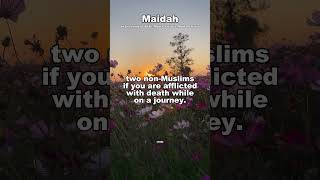 316 Maidah 106 English Quran Marshmallow psikoloji motivation quran shortvideo [upl. by Salakcin420]