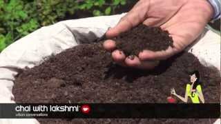 How to Grow Organic Vegetables on Your Roof Top [upl. by Lamrej]