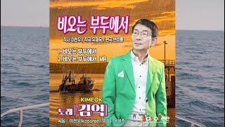 비오는 부두에서  김억작사 이천우작곡 유재욱 편곡 변성룡 [upl. by Jessy642]