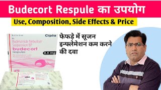 Budecort Respule Budesonide and Inhaler Use Side Effects and Price in Hindi Asthma  COPD [upl. by Richie]