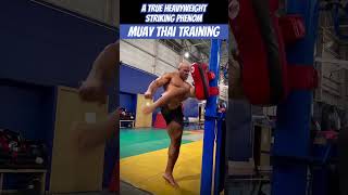 Heavyweight Striker heavyweight muaythai powerkick powerpunch streetfighter boxing training [upl. by Ades353]