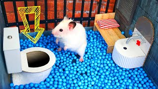 🐹 Hamster Escapes the Creative Maze for Pets in real life 🐹 in Hamster Stories [upl. by Smaj]