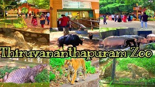 trivandrum zoothiruvananthapuram zooKerala Zoozoo in kerala [upl. by Ientirb]