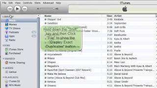 How to Find and Remove Duplicate Songs in iTunes [upl. by Whitver]