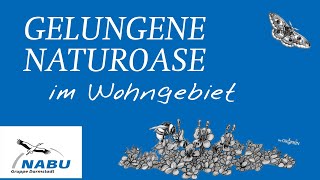 Naturgarten mit enormer Vielfalt [upl. by Draned]