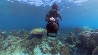 Freediving in Atauro Island  Haruina Reef Timor Leste [upl. by Aitselec]