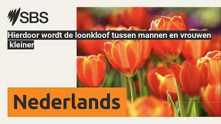 Hierdoor wordt de loonkloof tussen mannen en vrouwen kleiner  SBS Dutch  SBS Nederlands [upl. by Seraphine]