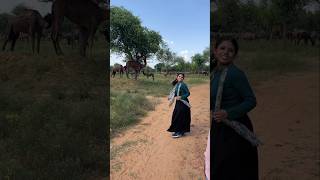 📍Sikar Rajasthan  mini travel vlog  khatu shyam Darshan  mini vlog  travel vlog Sikar [upl. by Ermeena]