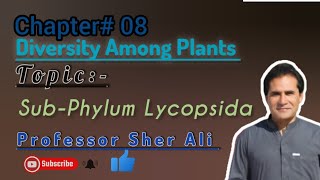 SubPhylum Lycopsida  kingdom plantea  by Sher Ali sir [upl. by Parthenia]