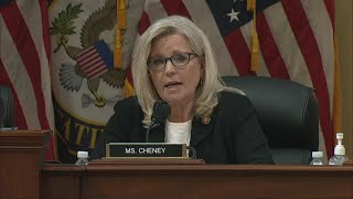 Shes a sellout Liz Cheney running in Wyoming primary election against Harriet Hageman [upl. by Jourdain]