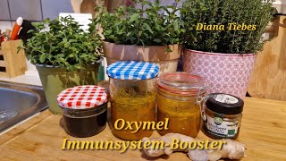 Immunsystem stärken mit Oxymel Einfach selbst gemacht und so gesund und lecker [upl. by Ahsekat]