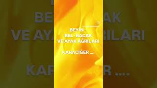 BEL BACAK AYAK AĞRILARI ❗️KARACİĞER ❗️ [upl. by Dalpe]