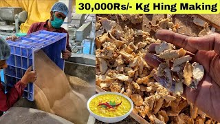 ₹30000 Kg😱😱 Everything You Need To Know About Hing Asafoetida  देखिए हींग कैसे बनता है😳😳 [upl. by Carine]