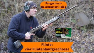 FangschussBeschusstest Teil 2 Flinte – vier Flintenlaufgeschosse von Brennecke auf kurze Distanz [upl. by Sucam]