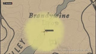 Red Dead Redemption 2 ONLINE  Tresor a BRANDYWINE DROP [upl. by Mcdonald]