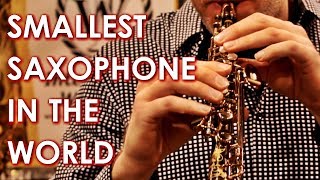 SMALLEST Saxophone in the World 🎷 [upl. by Ttekcirc]