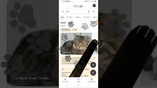 Google hileleri drawing artartist animation music music animation roblox keşfetbeniöneçıkar [upl. by Ahilam]