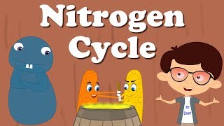 Nitrogen Cycle  aumsum kids science education children [upl. by Rist342]