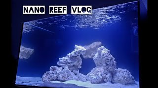 Nano Reef Vlog  250 litrów posolone 🧂🤿🐠 [upl. by Odlaner]