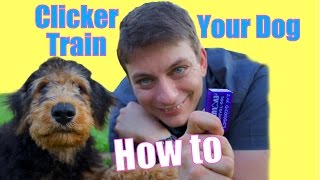 How to CLICKER TRAIN Your Dog The FASTEST WAY to Teach your Dog to be AWESOME [upl. by Gena]